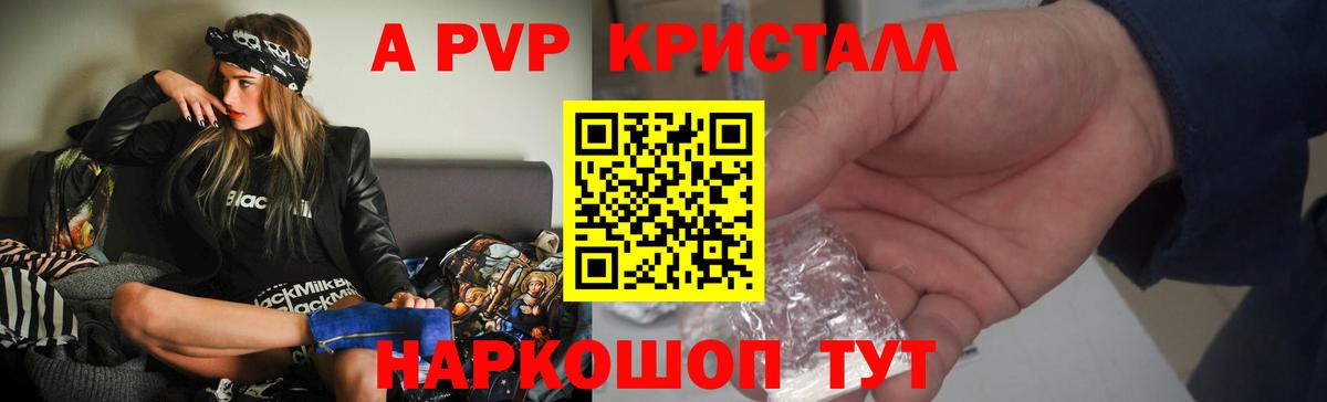 A-PVP СК КРИС Прокопьевск